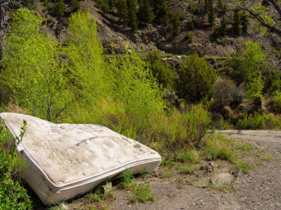 MATTRESS ON TREE